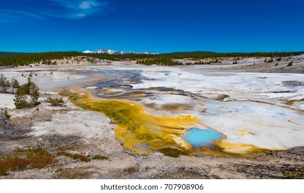 Geothermal Activity in Norris Geyser Basin, Yellowstone National Park, Wyoming