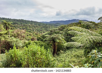 Geothermal activity in a valley