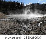 Geothermal Vents in National Park