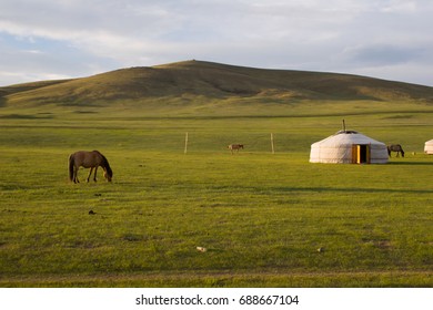 Ger And A Horse In Mongolia