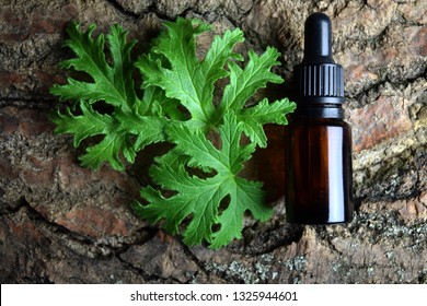 Geranium Citronella  Oil Aromatherapy