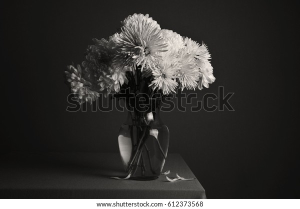 Gerber Flowers Vase Black White Shot Stock Photo Edit Now 612373568