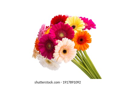 Gerbera Bouquet Isolated On White Background 