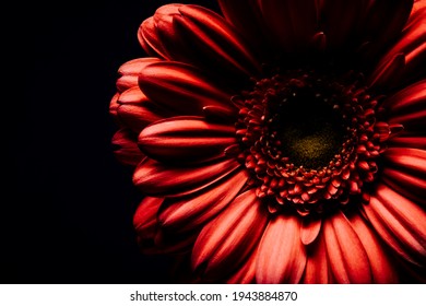 花 切り抜き の画像 写真素材 ベクター画像 Shutterstock