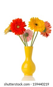 Gerbera Flower On The Vase, Isolated White Background.