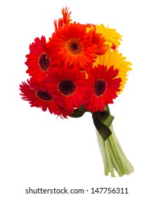 Gerbera Flowers Bouquet Isolated On White Background