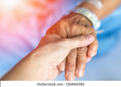 Geriatric Doctor Or Geriatrician Concept. Doctor Physician Hand On Happy Elderly Senior Patient To Comfort In Hospital Examination Room Or Hospice Nursing Home Or Wellbeing County. 