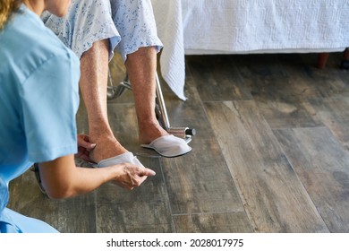 Geriatric Nurse Helps Frail Senior Citizen In A Wheelchair To Put On Shoes In The Nursing Home