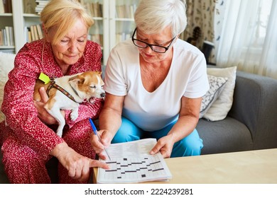 Geriatric Nurse And Senior Citizen With Small Dog Solving Crossword Puzzles As Memory Training