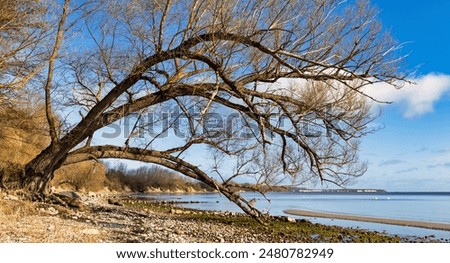 Similar – Foto Bild Bodenseeufer