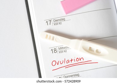 German Calendar And An Ovulation Test