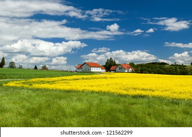 German Countryside Landscape, Village, Yellow Raps Field