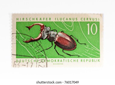 GERMAN DEMOCRATIC REPUBLIC - CIRCA 1958: A Stamp printed in German Democratic Republic shows the image of a brown deer bug  "Insects", circa 1958