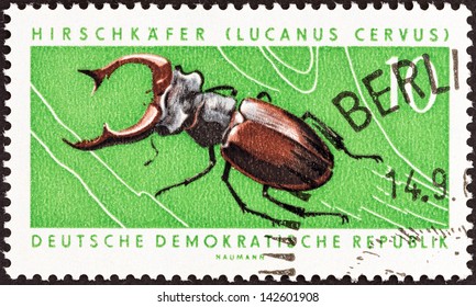GERMAN DEMOCRATIC REPUBLIC - CIRCA 1963: A stamp printed in Germany from the "Fauna Protection Campaign (2nd series)" issue shows Stag beetle, circa 1963.