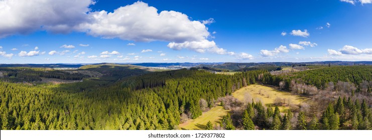 German Forest Landscape High Definition Panorama