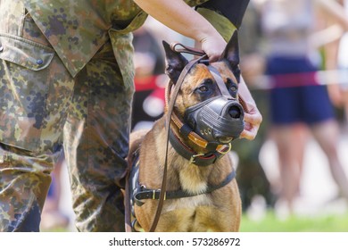 military dog muzzle