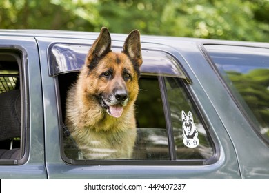 German Shepherd Big Car Stock Photo 449407237 | Shutterstock