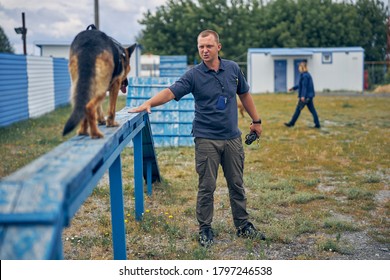 German Shepherd Dog Walking On Bench During Training With Professional Dog Trainer