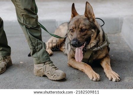  A German shepherd lies at the feet of a military man outdoors, close-up. High quality photo