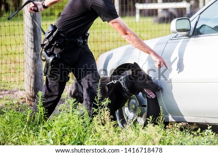 German Shepherd working dog, police K9 unit black shepherd finding drugs narcotics, policeman handler in uniform training canine, searching vehicle