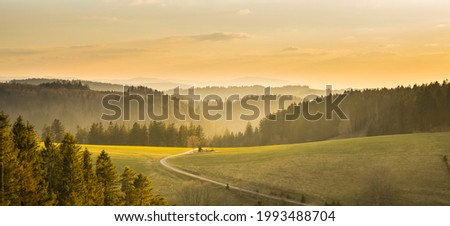 Germany, Beautiful path in forest panorama view of schwarzwald trees and nature landscape mountains in warm sunset sunlight