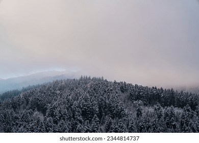 Germany, Beautiful snowy trees in endless black forest schwarzwald nature landscape panorama aerial view near freiburg im breisgau