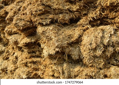 Germany 
Biomass Energy Raw Material. Livestock Manure