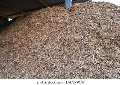 Germany 
Biomass Energy Raw Material. Livestock Manure