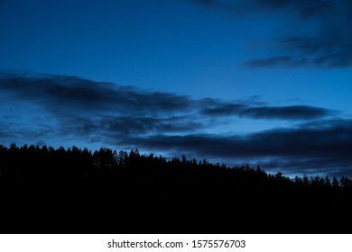 Germany, Blue Night Sky Over Beautiful Black Forest Tree Top Silhouette With Stars Shining In Summer Night