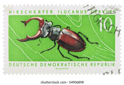 GERMANY - CIRCA 1960s: A stamp printed in Germany showing Stag Beetle, circa 1960s
