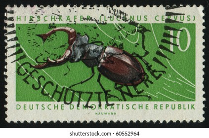 GERMANY - CIRCA 1963: stamp printed by Germany, shows Stag beetle, circa 1963.