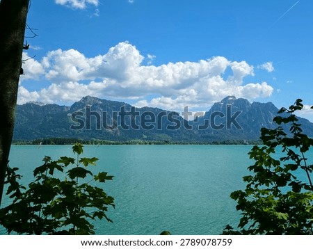 Germany, Elevated view above treetops toward Tegelberg and alpine mountain range beyond beautiful Forggensee shoreline