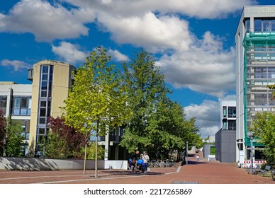 Düsseldorf, Germany (Heinrich Heine University) - October 9. 2022: German University Campus, Green Trees, Modern Buildings