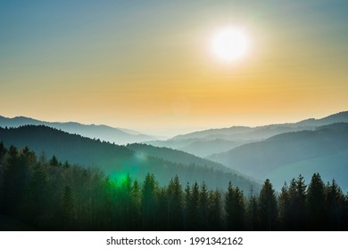 Germany, Magical Black Forest Trees Nature Landscape Covered Valley Sillhouette Panorama View From Top Of A Mountain In The Evening On A Foggy Day