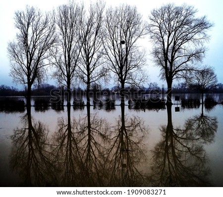 Similar – Foto Bild ::ELBSTRAND:: Baum Holz