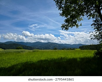 germany, refreshing shade beneath a tree overlooking meadow foreground and forested mountain horizons