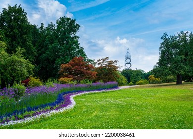 Germany, Stuttgart City District Killesberg Urban Park Colorful Flowers And Killesbergturm Tower In Beautiful Nature Landscape