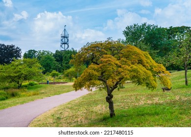 Germany, Stuttgart City Killesberg Urban Park With Killesbergturm Tower In Beautiful Nature Landscape A Tourism Spot In The City