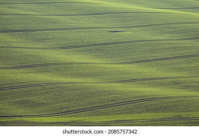 Germany's green wave fields, Wertheim.