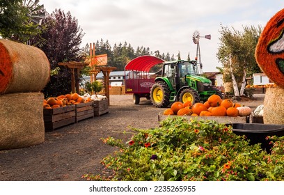 baumans farms pumpkin patch