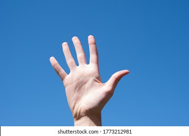 Gesture Closeup Of A Woman's Hand Showing Five Fingers, Isolated Against A Blue Sky, Sign Language Symbol Number Five