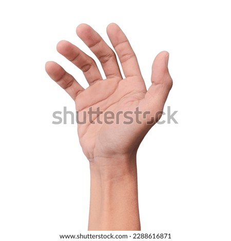 gesture of the hand for catching isolated on white background.
