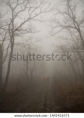 Get lost concept, tourists Walking on mystical scary forest foggy road