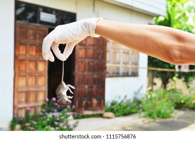9,605 Get rid of Images, Stock Photos & Vectors Shutterstock