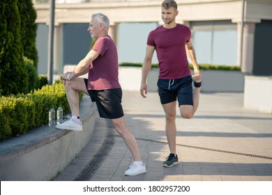 Getting ready. Mature grey-haired man stretching knee, young bearded male stretching quad next to him