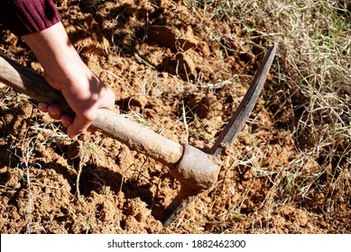 Getting rid of weeds and digging the ground with a pickaxe. - Shutterstock ID 1882462300