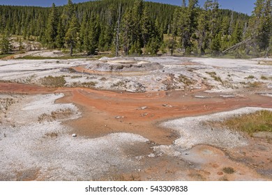 Geyser Cone In The Wilds Of The Shoshone Basin In Yellowstone National Park In Wyoming