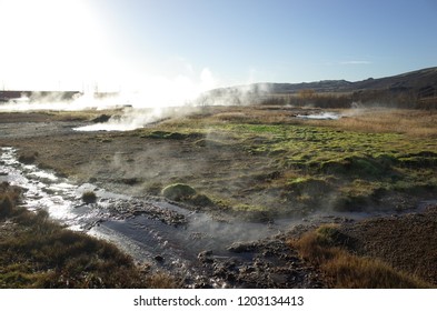 Geyser Or Geysir In Iceland