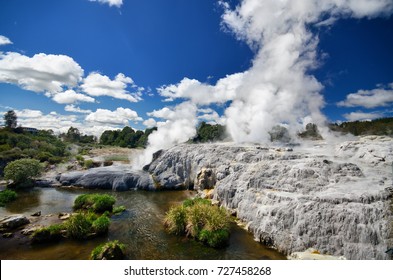 Geyser In Rotorua