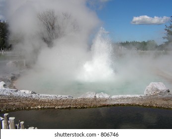 Geyser - Wairakei Terraces